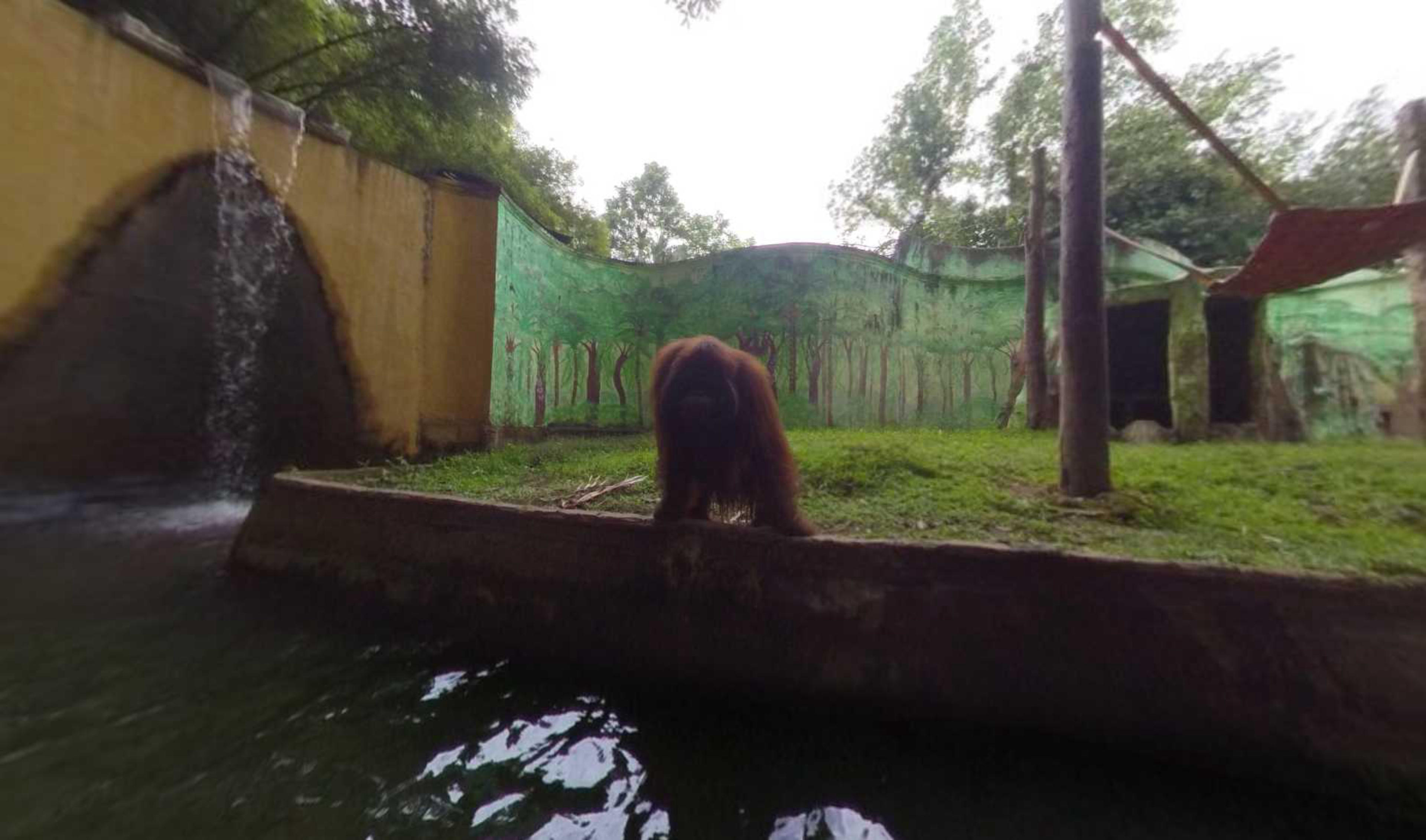 Bali Zoo virtual tour preview