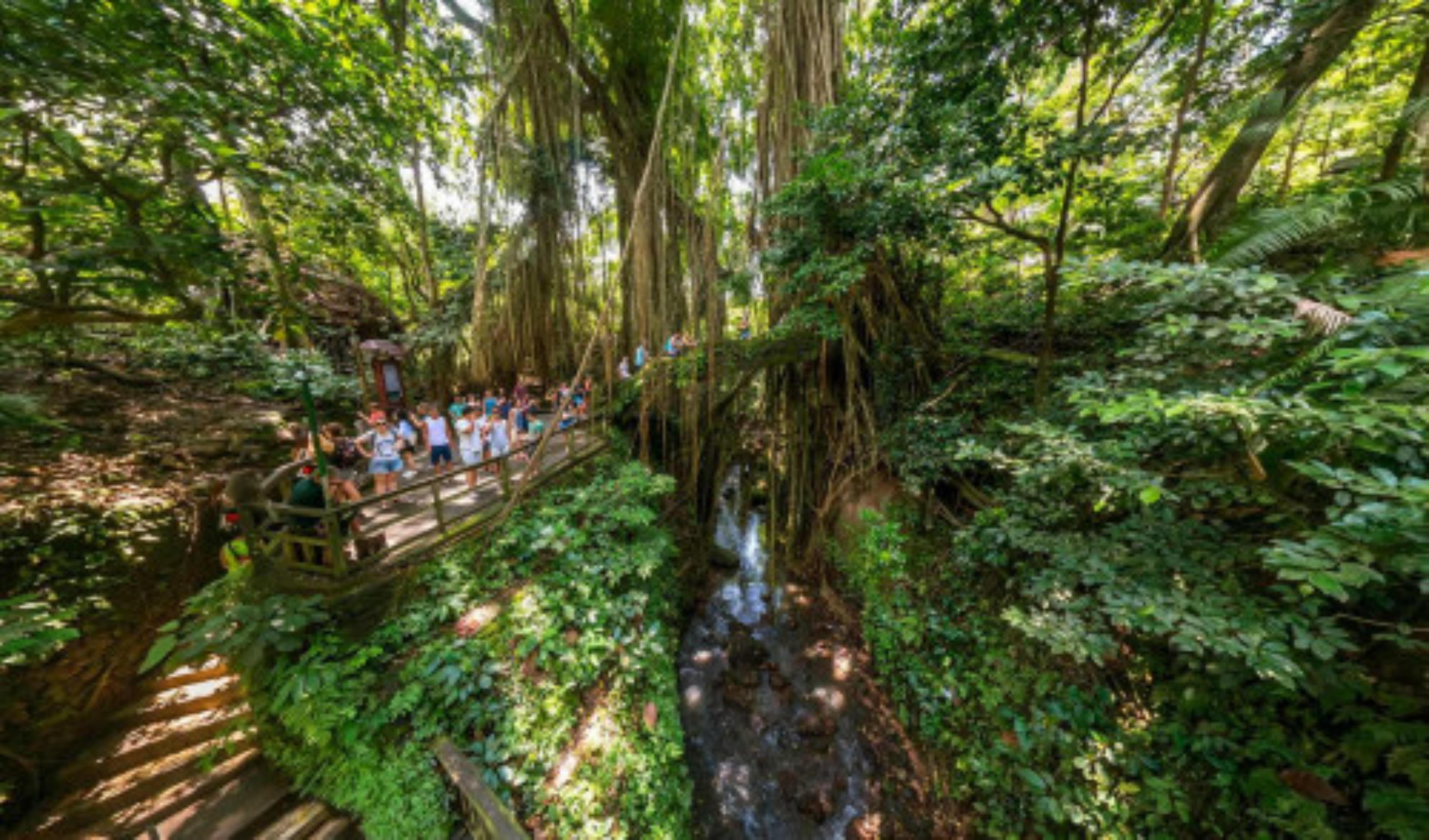 Sacred Monkey Forest Sanctuary virtual tour preview